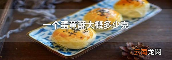 一个蛋黄酥大概多少克