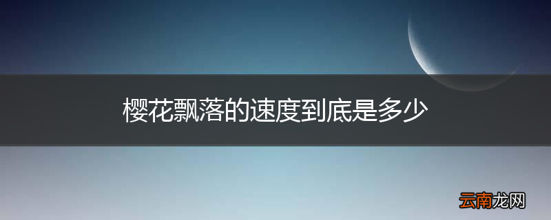 樱花飘落的速度到底是多少