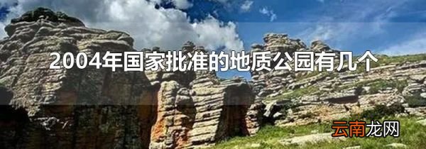 2004年国家批准的地质公园有几个