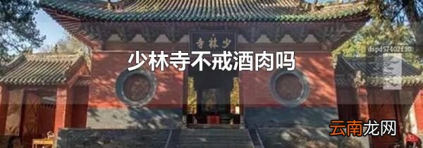 少林寺不戒酒肉吗