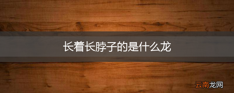 长着长脖子的是什么龙