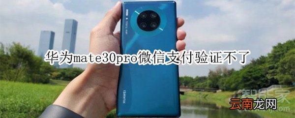 华为mate30pro微信支付验证不了