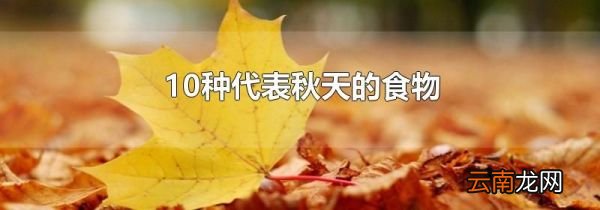 10种代表秋天的食物