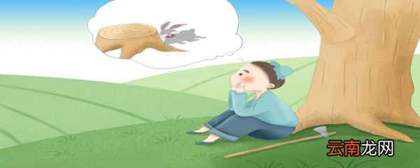 兔走触株折劲而死的意思是什么守株待兔讲的道理
