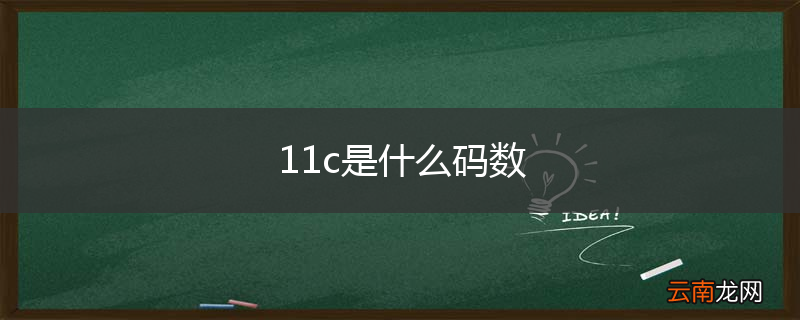 11c是什么码数