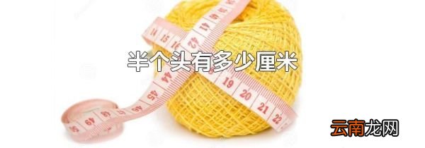 半个头有多少厘米