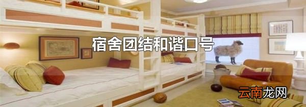 宿舍团结和谐口号