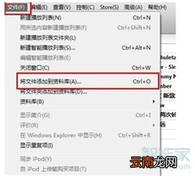 iphone11pro怎么更换来电铃声