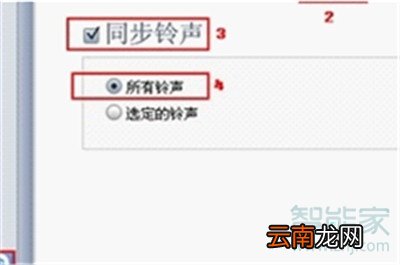 iphone11pro怎么更换来电铃声