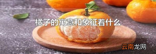 橘子的寓意和象征着什么