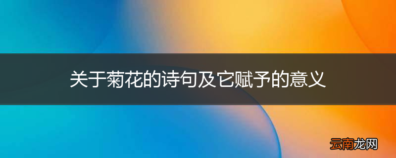 关于菊花的诗句及它赋予的意义