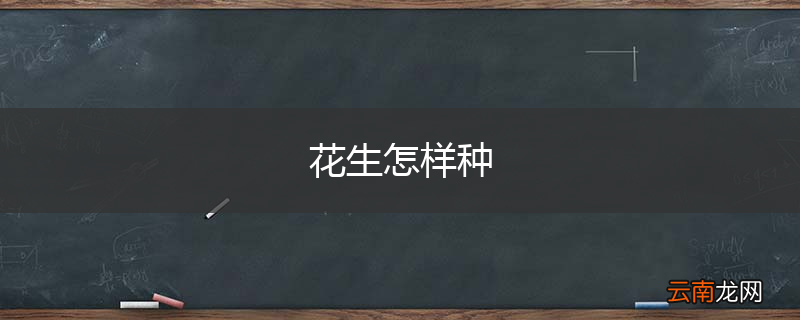 花生怎样种