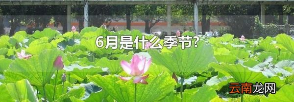 6月是什么季节?