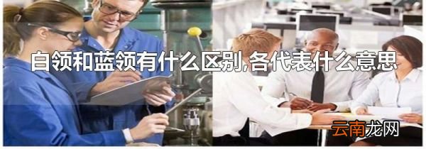 白领和蓝领有什么区别,各代表什么意思
