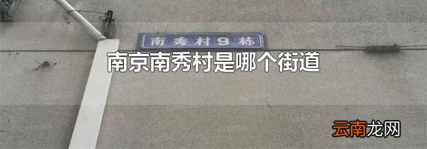 南京南秀村是哪个街道