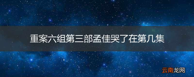 重案六组第三部孟佳哭了在第几集