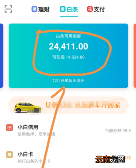 京东金融APP调整白条固定额度操作过程