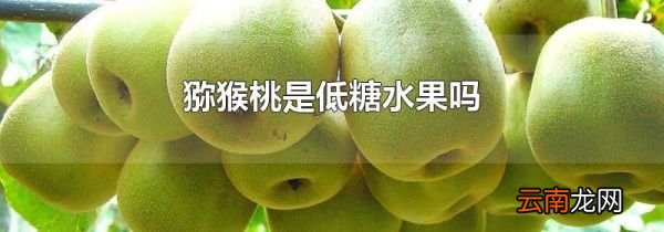 猕猴桃是低糖水果吗