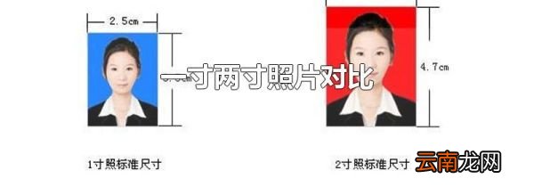 一寸两寸照片对比