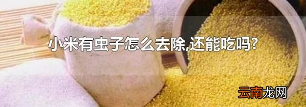 小米有虫子怎么去除,还能吃吗?