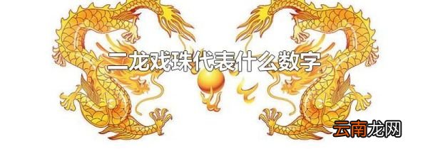二龙戏珠代表什么数字