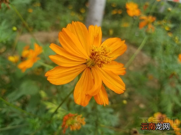 魅族mx6怎么样 魅族mx6手机测评
