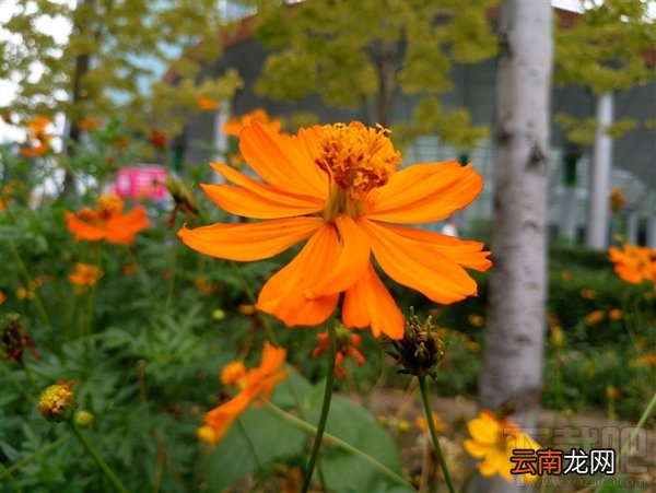 魅族mx6怎么样 魅族mx6手机测评