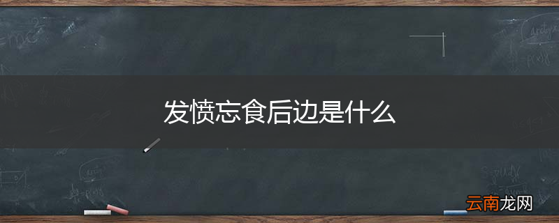 发愤忘食后边是什么