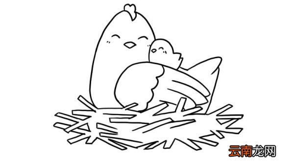 母鸡和小鸡简笔画 母鸡和小鸡简笔画怎么画