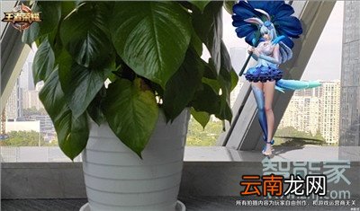 iphone11pro王者荣耀AR相机怎么拍