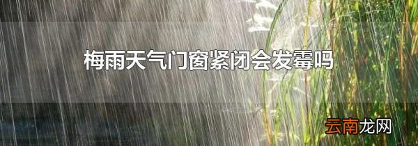 梅雨天气门窗紧闭会发霉吗