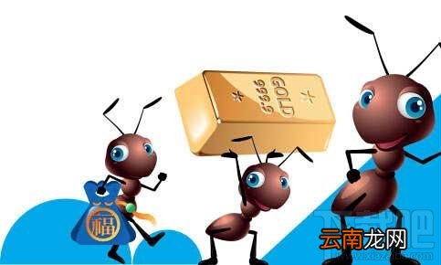 支付宝蚂蚁借呗利息是多少 蚂蚁借呗利息怎么算