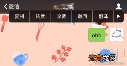 微信ohh是什么意思 微信翻译有趣表白代码都有哪些