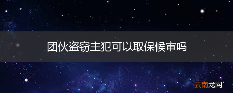 团伙盗窃主犯可以取保候审吗