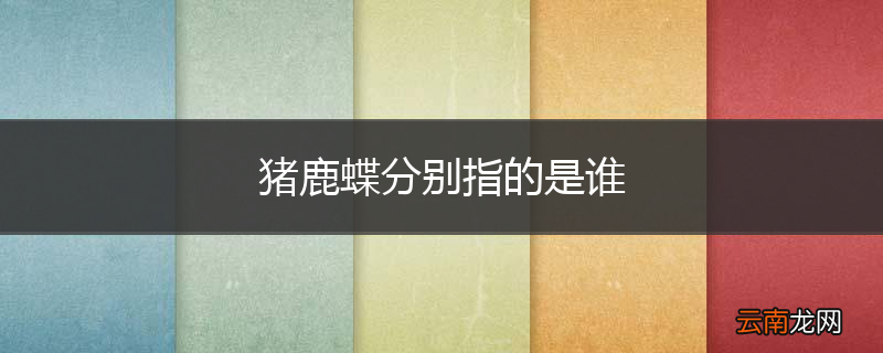 猪鹿蝶分别指的是谁