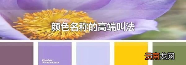 颜色名称的高端叫法