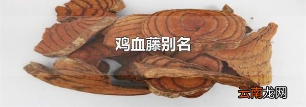 鸡血藤别名