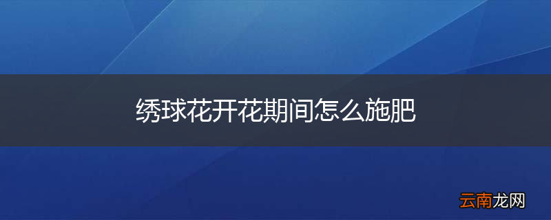 绣球花开花期间怎么施肥