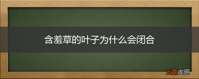含羞草的叶子为什么会闭合
