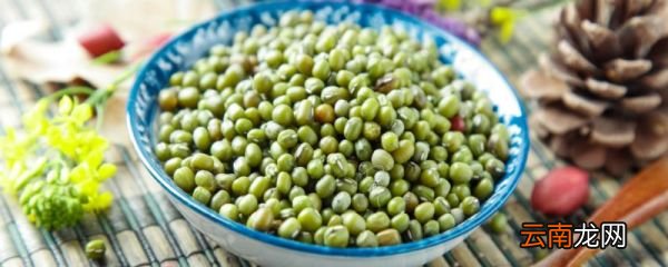 喝绿豆汤的好处 喝绿豆汤有哪些好处
