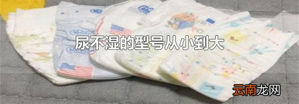尿不湿的型号从小到大