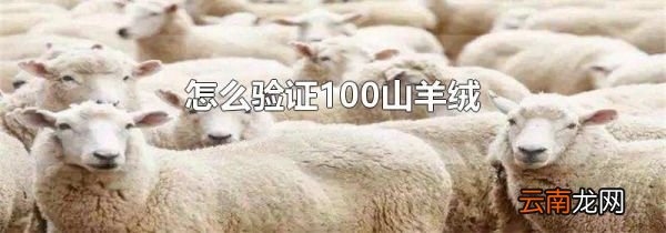怎么验证100山羊绒
