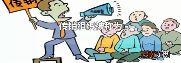 传销组织被称为