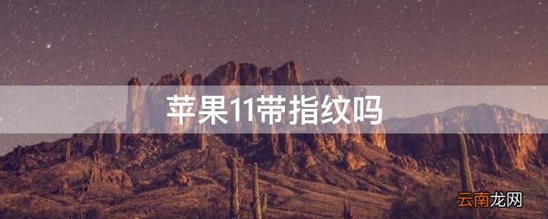 iphone11带指纹解锁吗 iPhone11带指纹吗
