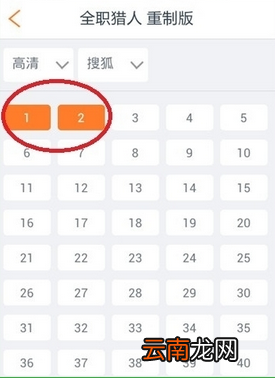 布丁动画APP的详细使用过程