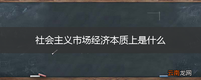 社会主义市场经济本质上是什么