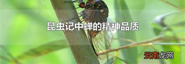 昆虫记中蝉的精神品质