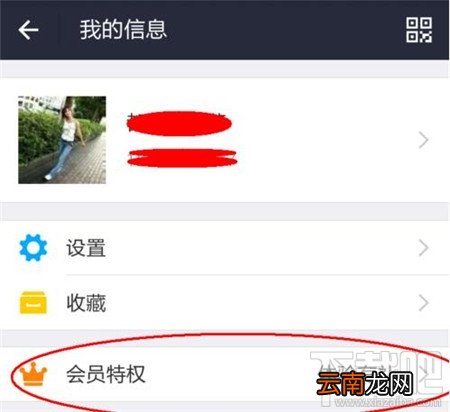 支付宝金账户在哪里看 支付宝金账户有什么用