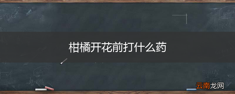 柑橘开花前打什么药