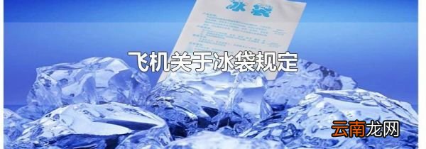 飞机关于冰袋规定